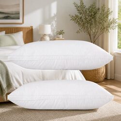High-Quality Goose Feather Down Pillow Twin Pack