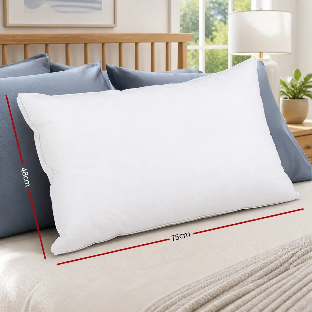 Goose Feather Down Pillow Twin Pack