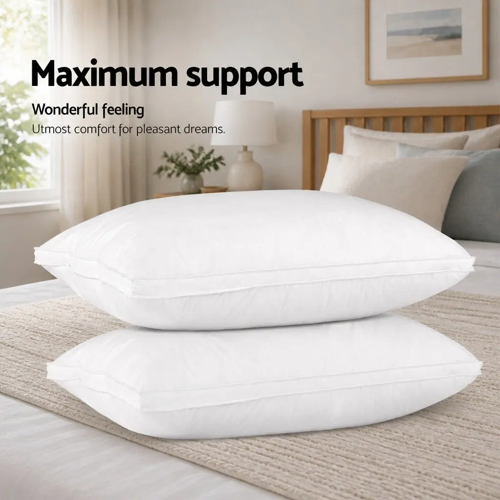 Goose Feather Down Pillow Twin Pack