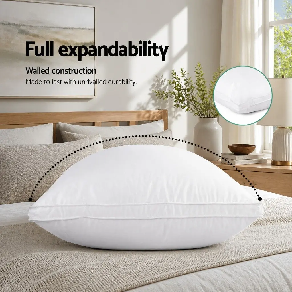 Goose Feather Down Pillow Twin Pack
