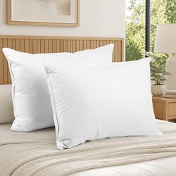 Premium Goose Feather Down Pillow Twin Pack White 1kg