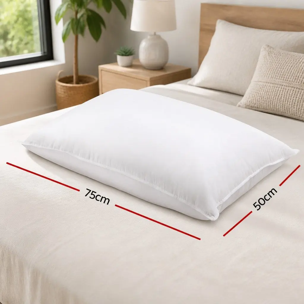 Goose Feather Down Pillow Twin Pack White 1kg