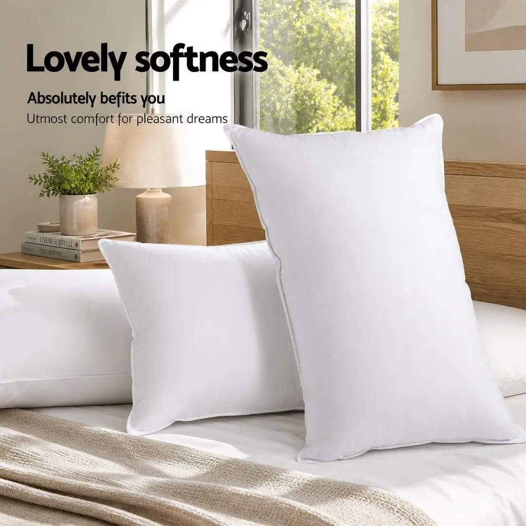 Goose Feather Down Pillow Twin Pack White 1kg