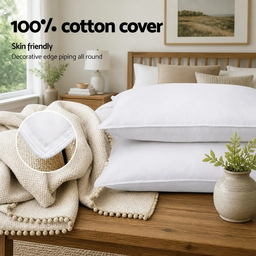 Goose Feather Down Pillow Twin Pack White 1kg