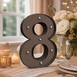 Premium Quality Metal LED Number Lights for Events