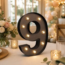 Premium Metal Letter and Number LED Lights for Events