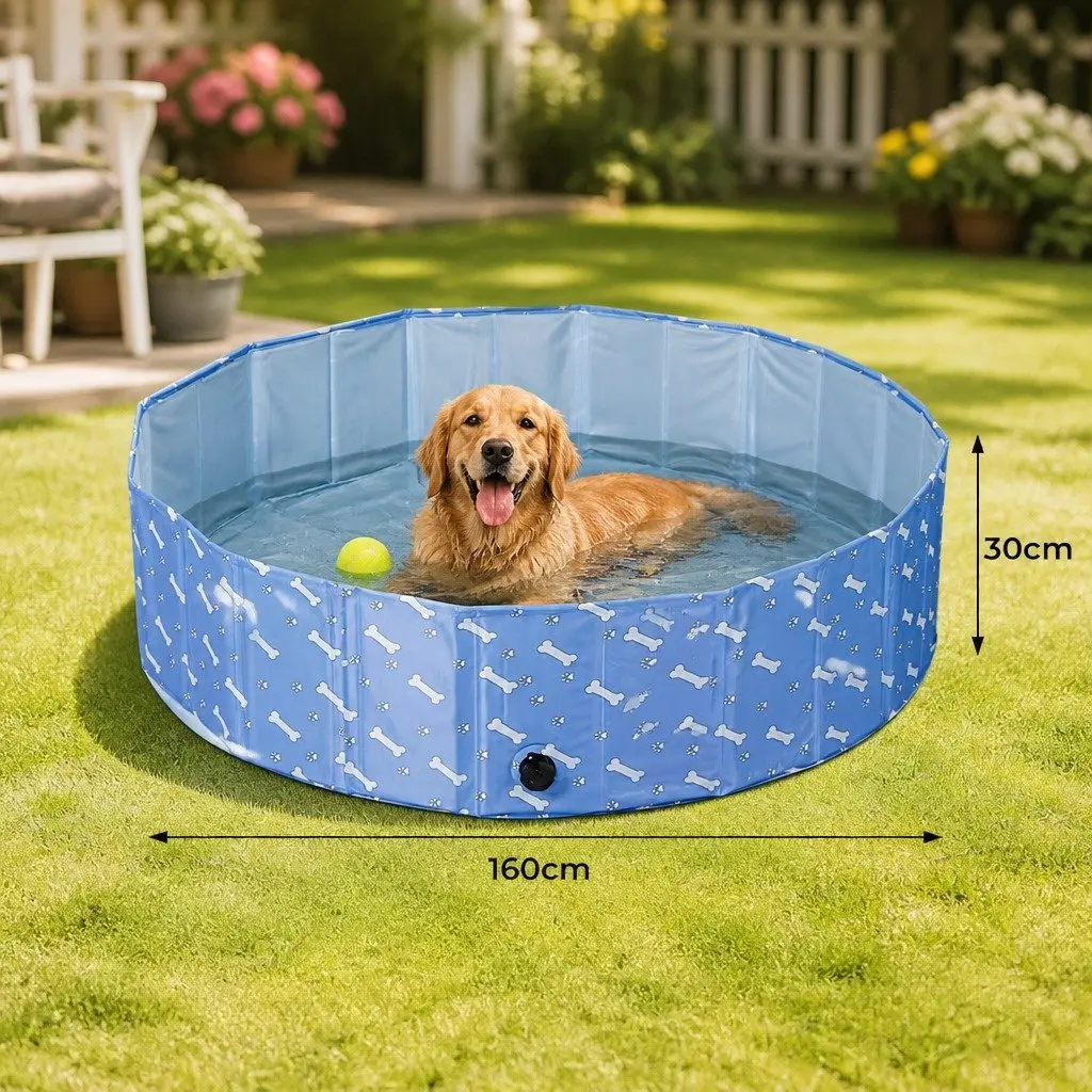 Pet Swimming Pool PVC Large Blue