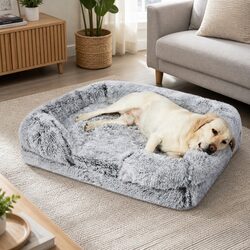 Orthopedic Pet Bed for Dogs with Memory Foam XL