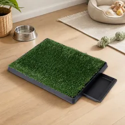 High-Quality Indoor Dog Potty Training System