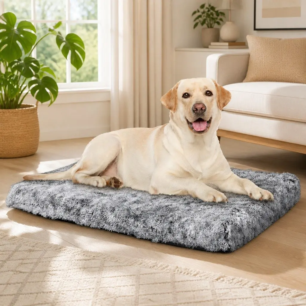 Memory Foam Pet Bed Cushion Large Charcoal