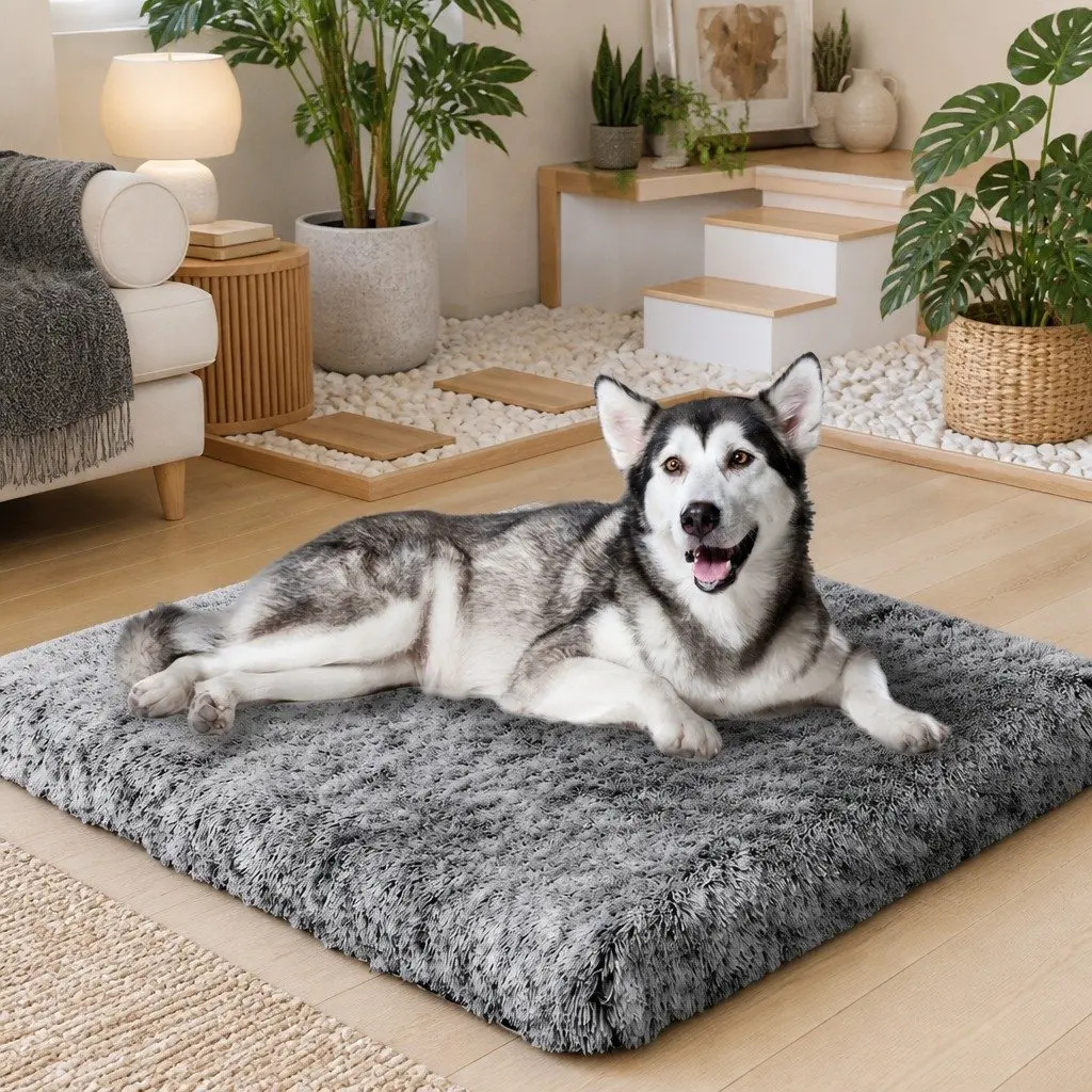 Orthopedic XXL Charcoal Dog Bed with Memory Foam
