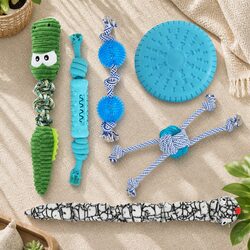 High-Quality Dog Chew Toys Set with Squeaky Features