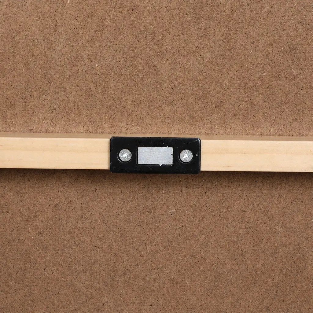 Adjustable Pet Ramp with 5 Height Settings