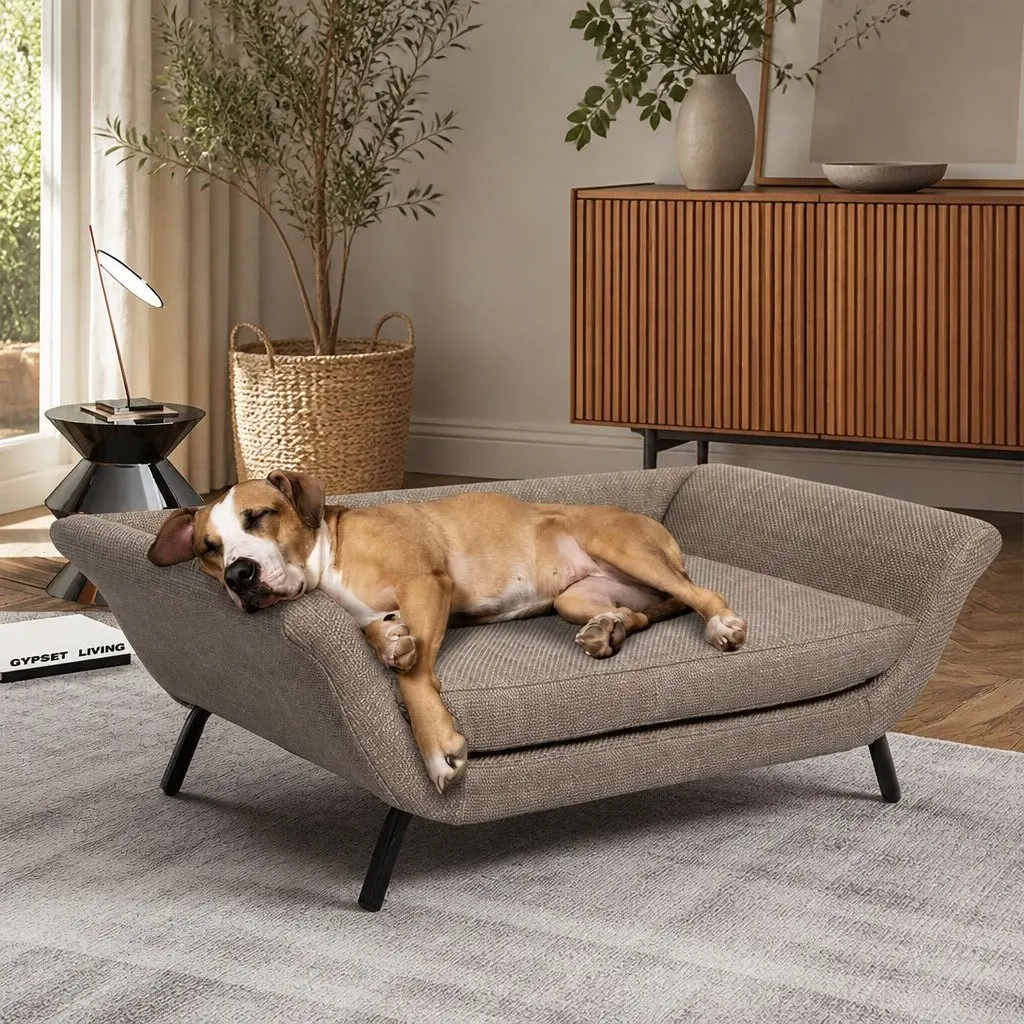 Elevated Pet Sofa Bed for Cats and Dogs