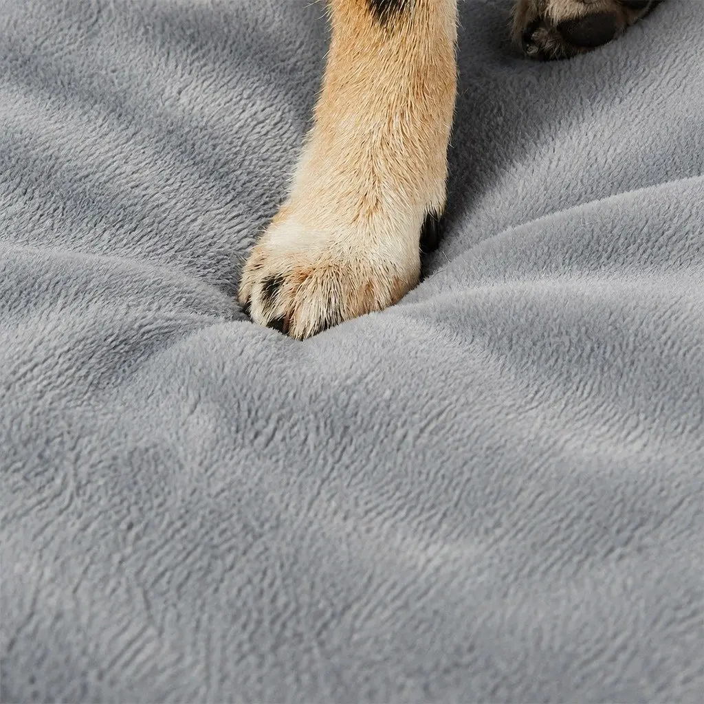 Orthopedic Medium Dog Bed with Memory Foam Support