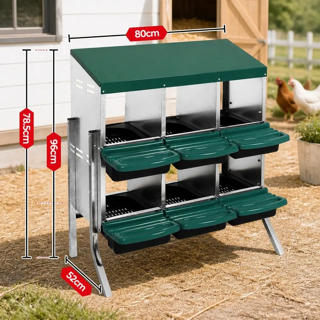 Chicken Egg Nesting Box Galvanized Steel 6-Hole Green