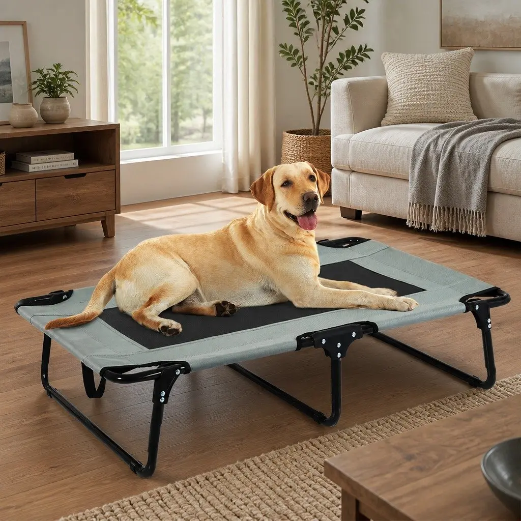 Large Elevated Dog Bed for Indoor and Outdoor Use