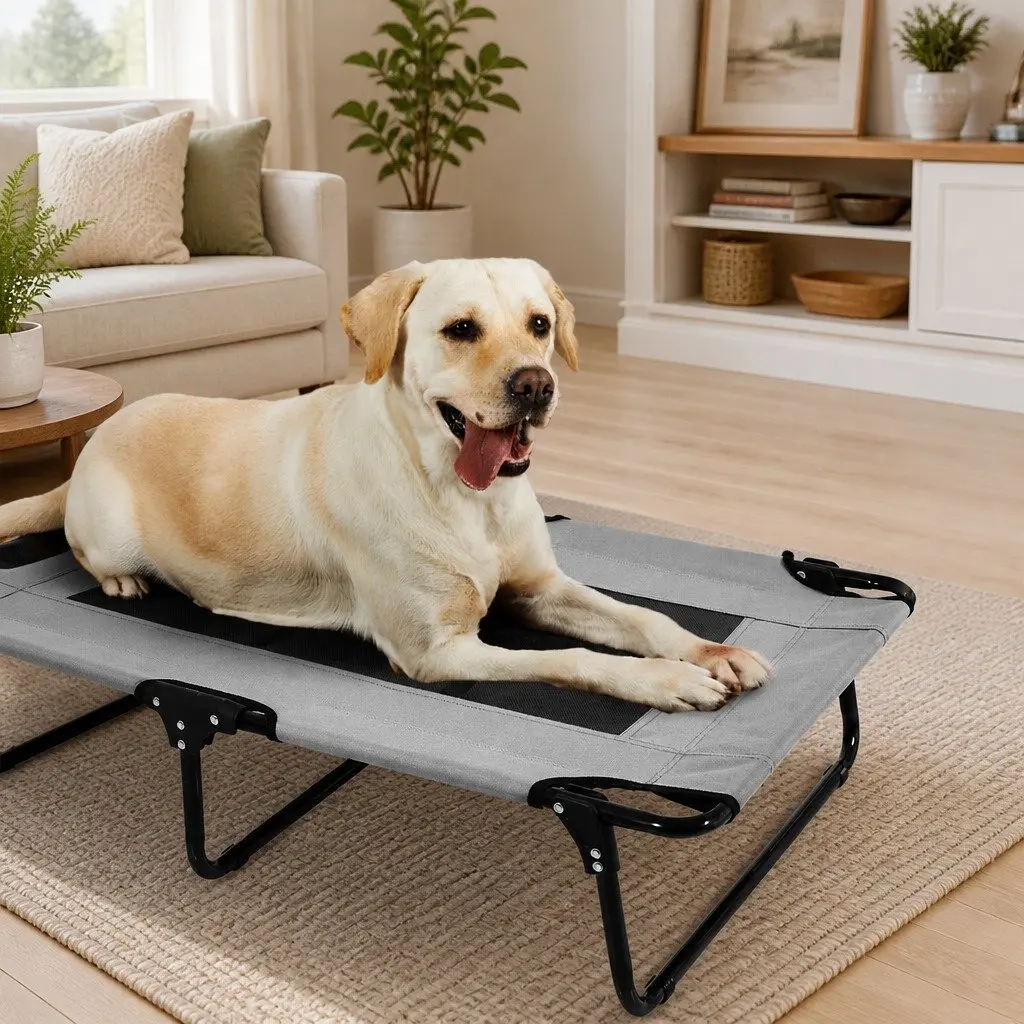 Large Elevated Dog Bed for Indoor and Outdoor Use
