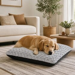 Premium Plush Dog Bed for Senior Dogs with Joint Support