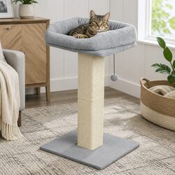 Sturdy Cat Scratching Post with Large Perch and Toy