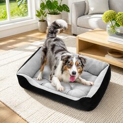 High-Quality Walled Pet Bed for Dogs and Cats