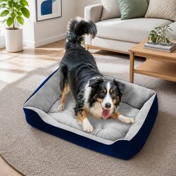 Durable PawFriends Walled Pet Bed for Dogs and Cats