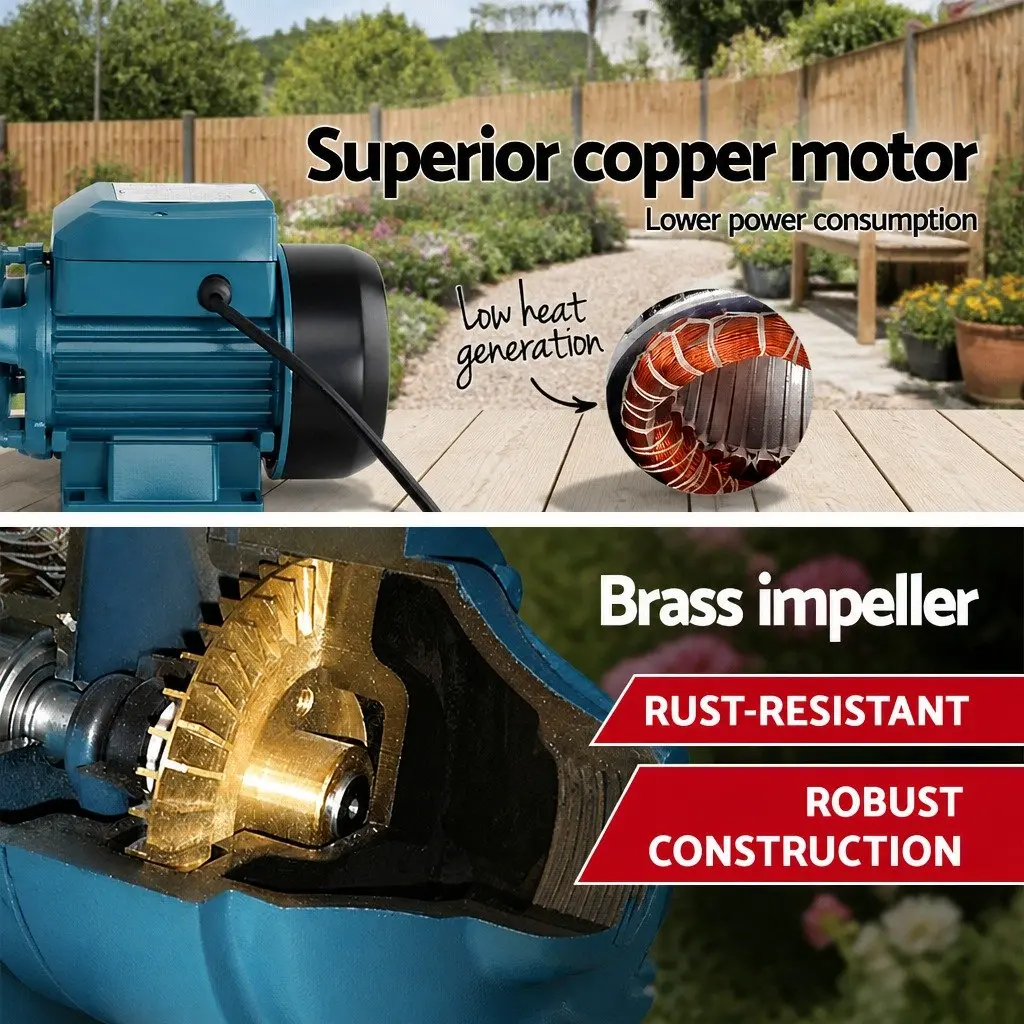 Clean Water Pump for Garden and Pool Use