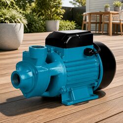 Heavy-Duty 750W Water Pump for Outdoor Use