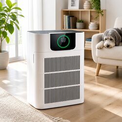 High-Quality Pet Air Purifier with 3-Stage Filtration