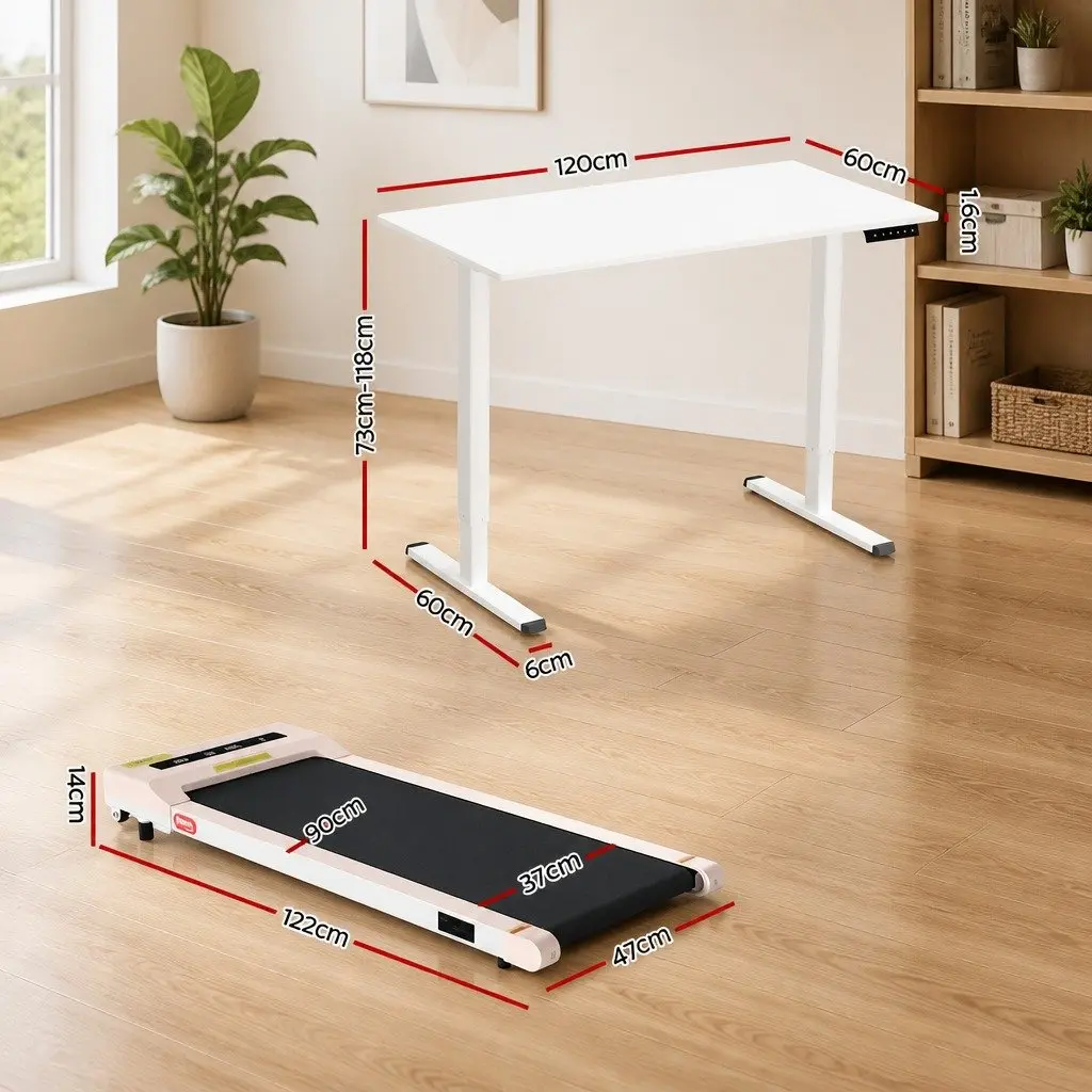 Electric Standing Desk with Treadmill Walking Pad