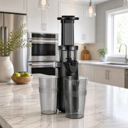 Cold Press Slow Juicer Fruit Juice Extractor 130W Masticating Auger Black