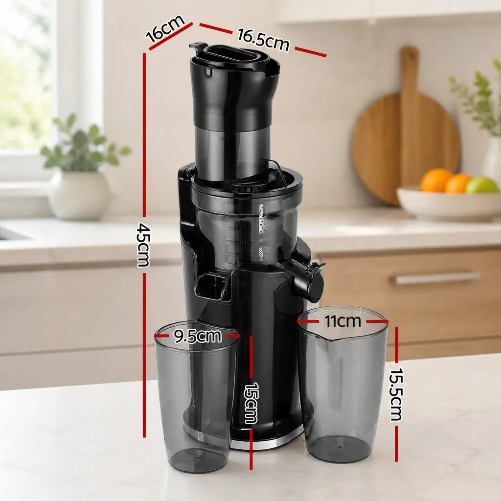 Slow Juicer with Low-Speed Masticating Auger