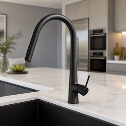 Kitchen Mixer Tap Pull Out Round 2 Mode Sink Basin Faucet Swivel Black 35mm
