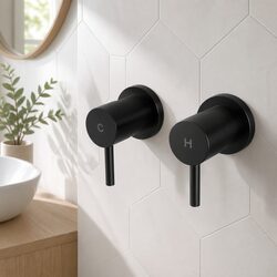Matte Black Twin Tap Wall Faucet for Bathroom