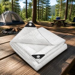 Heavy Duty Waterproof Clear Poly Tarp 4x7m for Outdoor Use