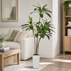 Stunning 182.5cm Artificial Dracaena Tree with Flexible Branches
