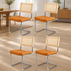 Stylish Dining Chairs Set of 4 with Rattan and Stainless Steel