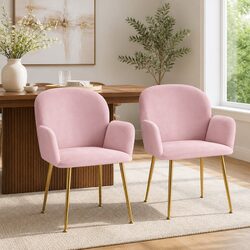 Set of 2 Elegant Velvet Dining Chairs in Pink
