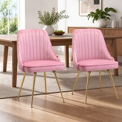 Elegant Pink Velvet Dining Chairs with Scallop Shell Back - Set of 2