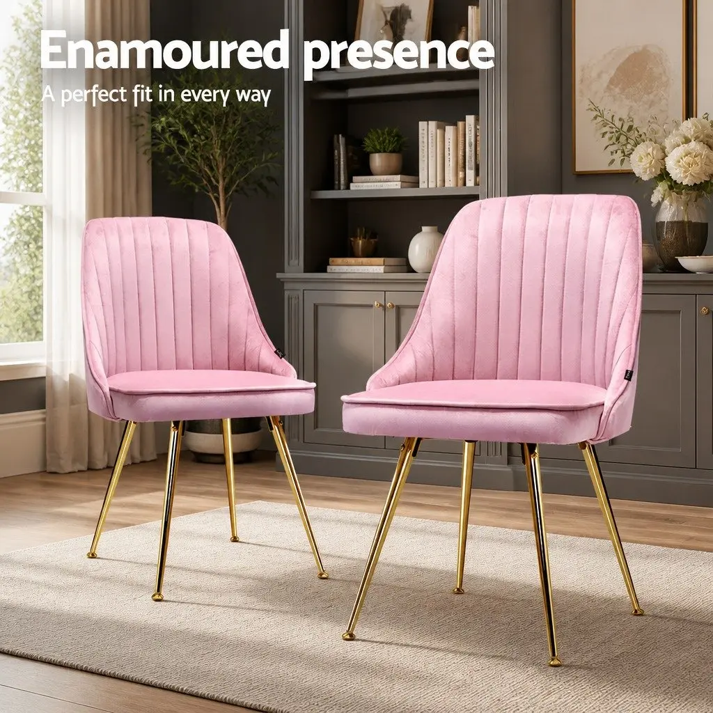 Dining Chairs Velvet Pink Scallop Shell Back Set of 4 Metal Legs
