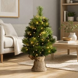 Compact 60cm Green Mini Christmas Tree with 50 LED Lights