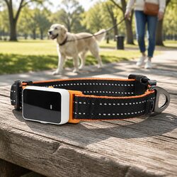 Pet Collar Medium with Tracker Attachment Base Secure Ring for Walks Training