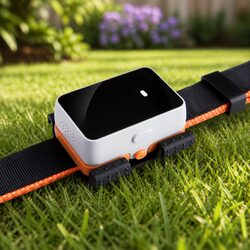 Durable Pet GPS Tracker for Real-Time Monitoring