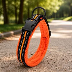 Durable Reflective Dog Collar with Safety Lock Clip Buckle Large Orange