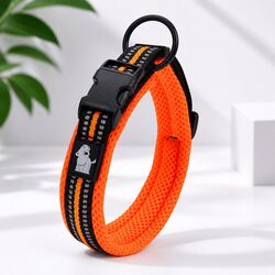 Durable Orange 2XL Dog Collar with Reflective Features