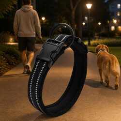 Premium Heavy Duty Black Dog Collar with Reflective Features