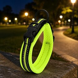 XL Heavy Duty Dog Collar with Reflective Safety Features