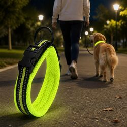 Durable Reflective Dog Collar with Safety Lock Clip