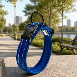 Reflective Heavy Duty Dog Collar with Safety Lock Clip Blue 2XS
