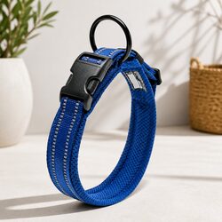 Durable Reflective Dog Collar with Safety Lock Clip